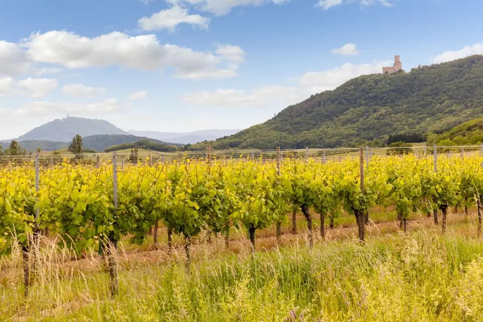 Le Verger Des Châteaux — photo 1