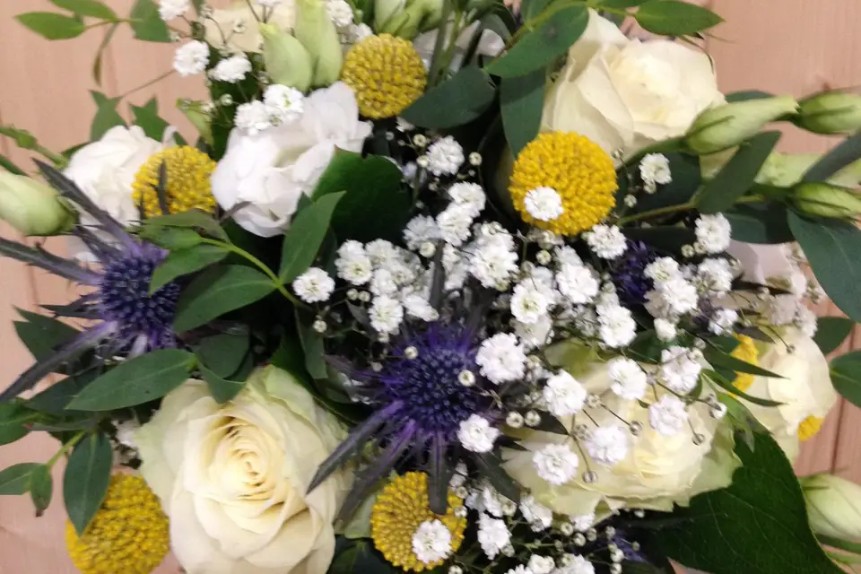 Julie Hochart — photo 3