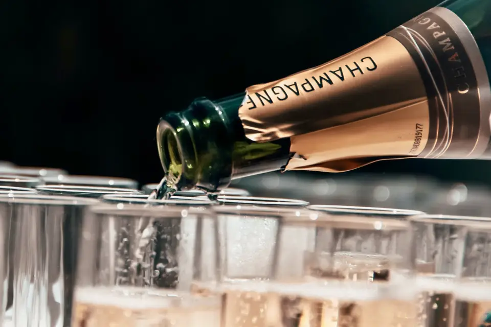 Zyra Production — photo 7