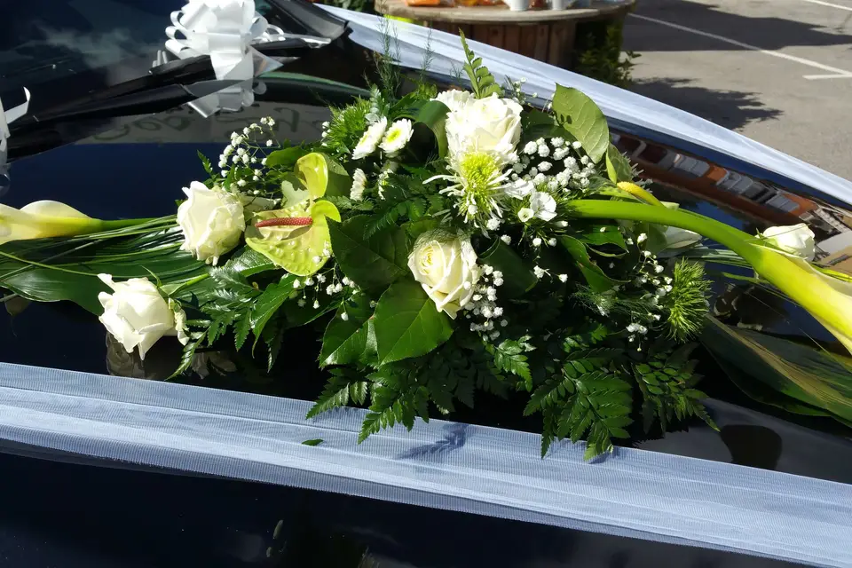 Private Driver 83 VTC — photo 8