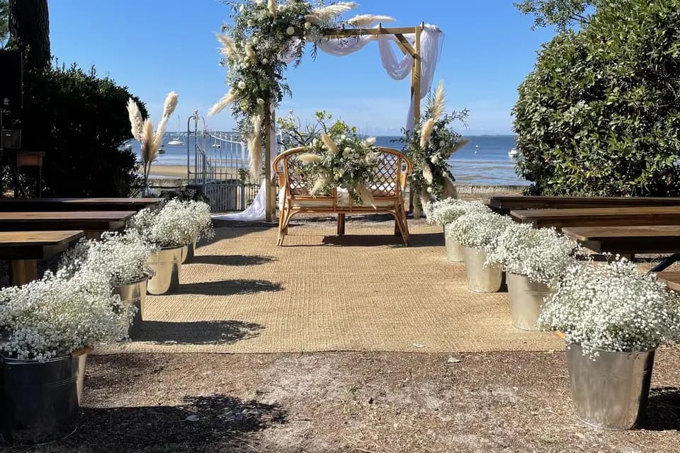 Jungle Urbaine — photo 2