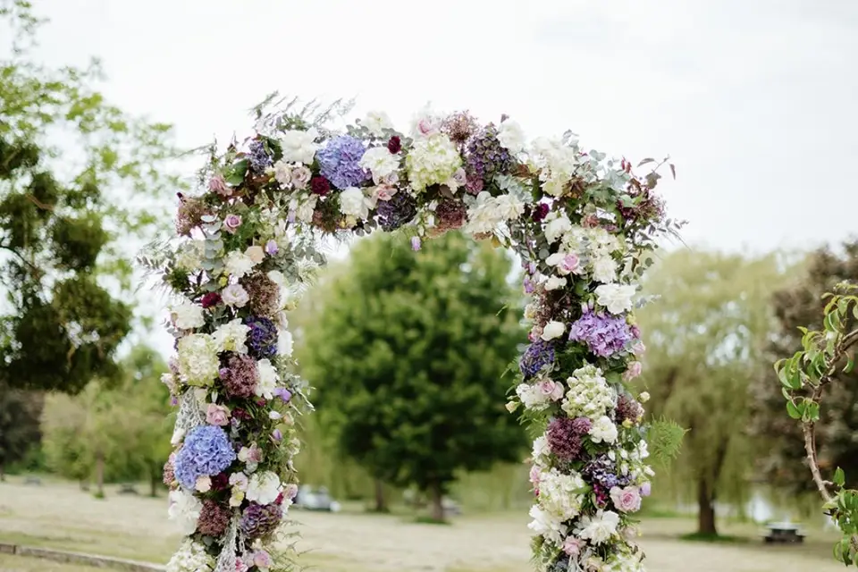 Jungle Urbaine — photo 1