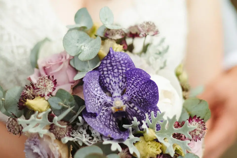 Jungle Urbaine — photo 7