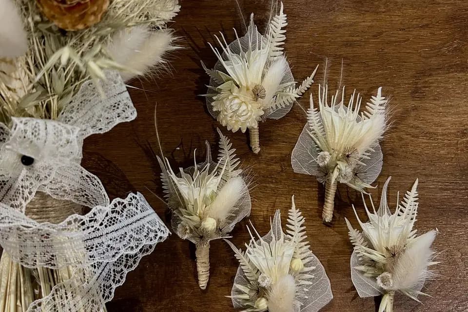 Jungle Urbaine — photo 5