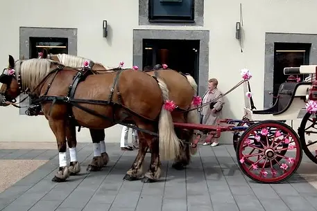 La Bride Champêtre — photo 1