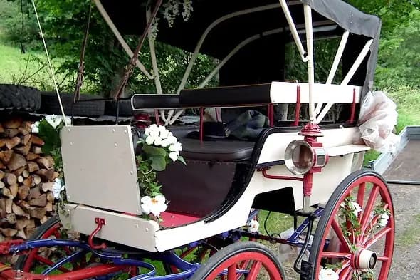 La Bride Champêtre — photo 2