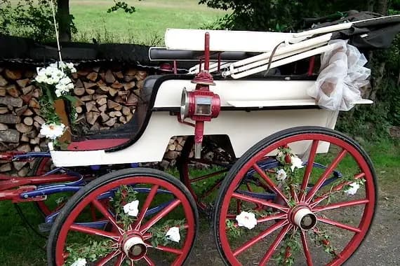 La Bride Champêtre — photo 5