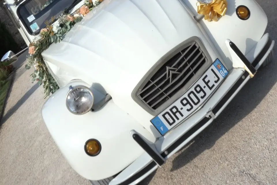 Asap Visuals — photo 1