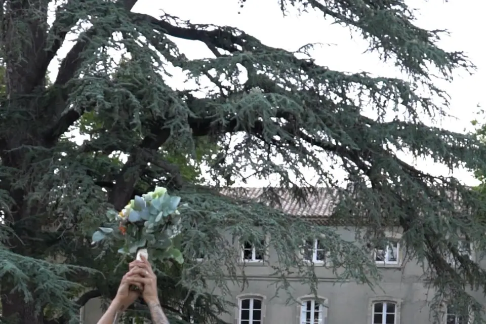 Asap Visuals — photo 7