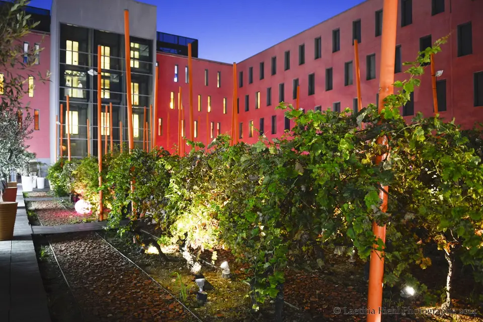 La Vie en Rose — photo 8