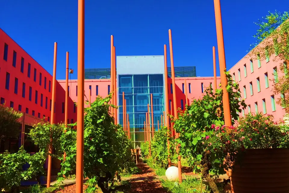 La Vie en Rose — photo 3