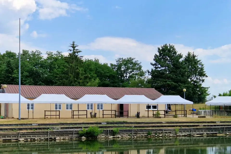 Location de l'Ill — photo 6