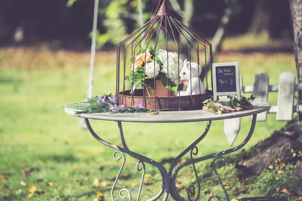 L'Endroit — photo 7