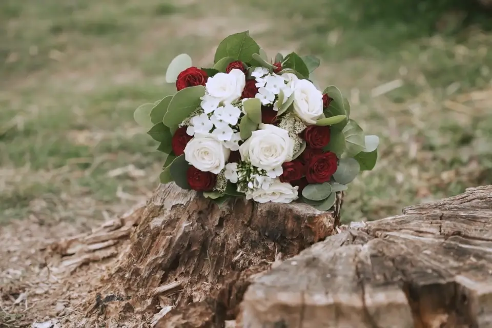 Raysprod — photo 4