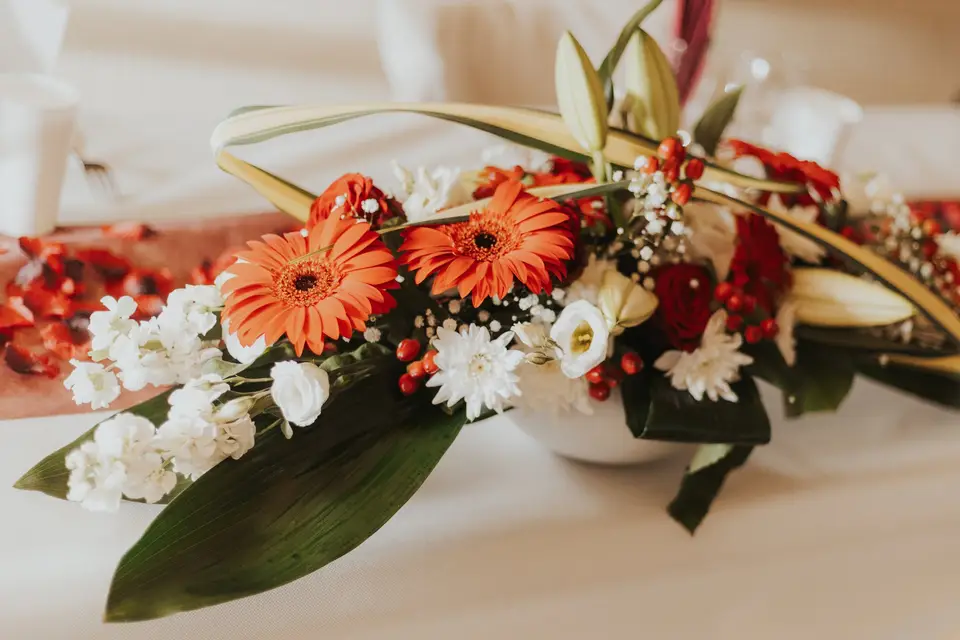 JS Evénement — photo 5