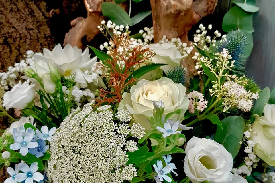 La Garance Voyageuse — photo 4