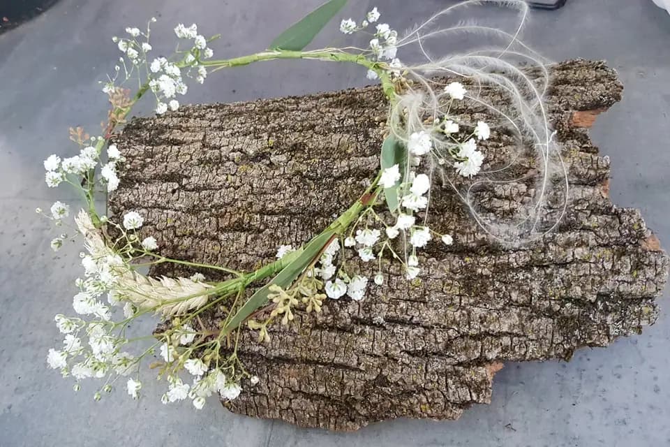 La Garance Voyageuse — photo 7