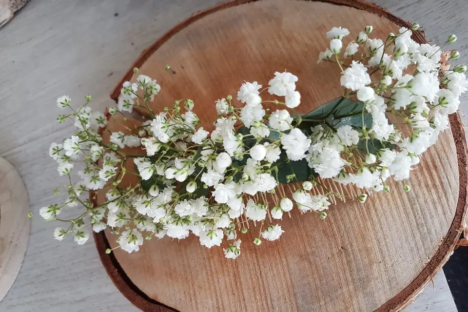 La Garance Voyageuse — photo 8