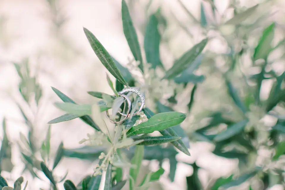 Pocket.S Photography