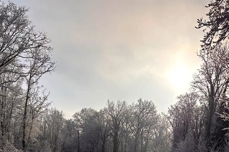 MB Transferts — photo 1