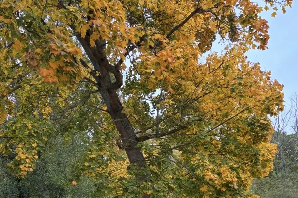 MB Transferts — photo 5