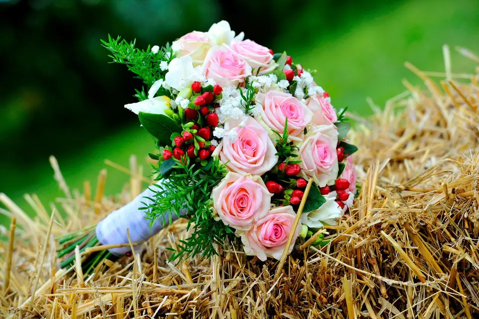 Cyril Lagarde Photographe — photo 4