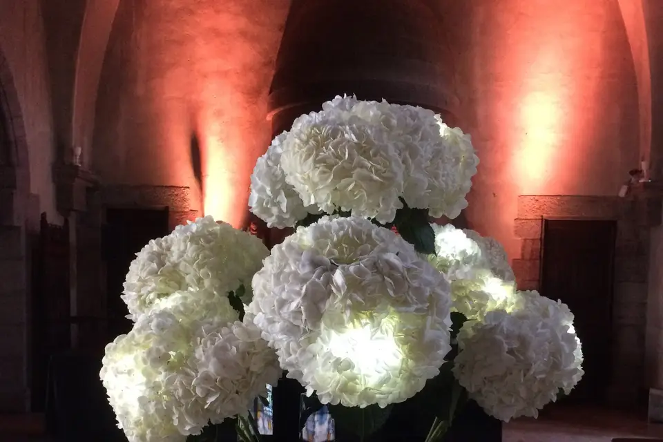 Décothim — photo 7