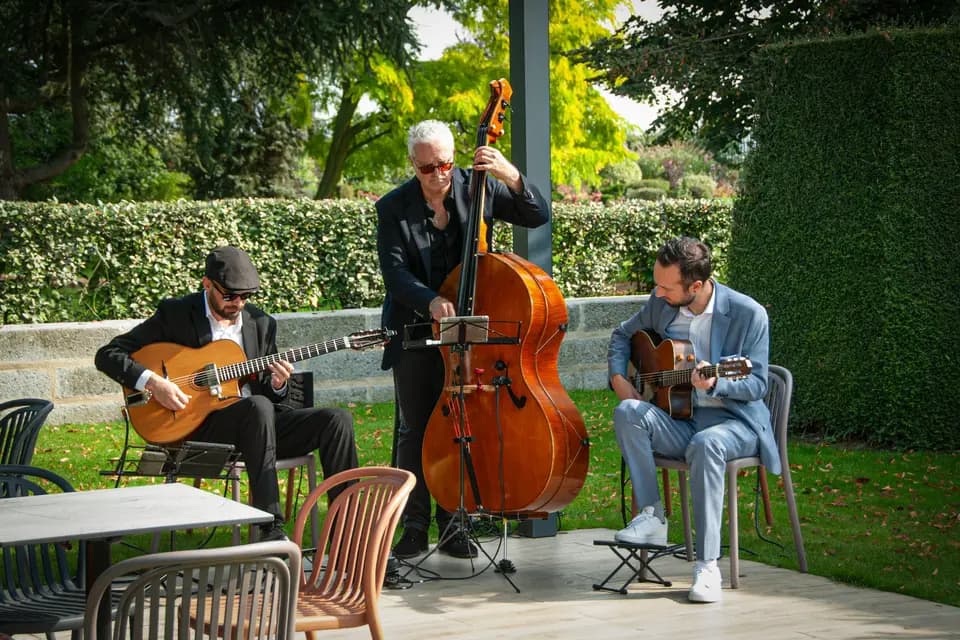 Stronalama — photo 3