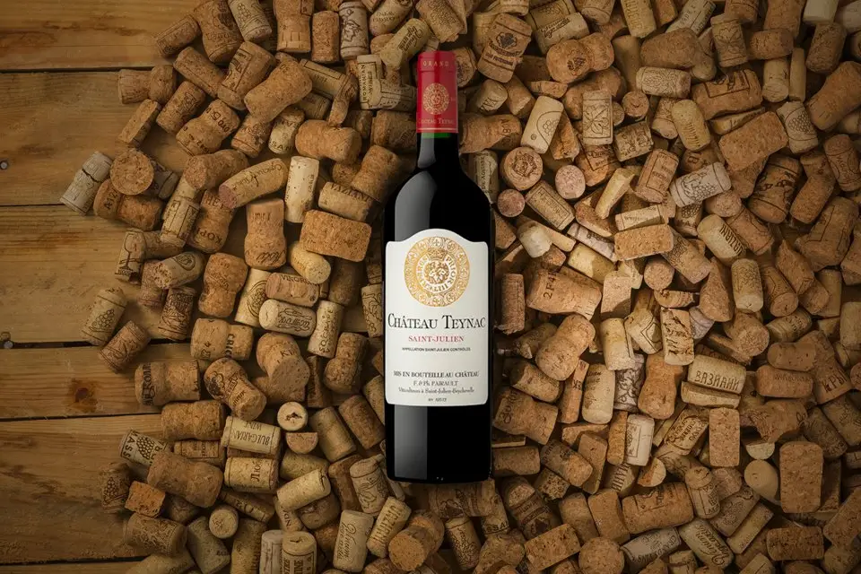 Vinocent — photo 5