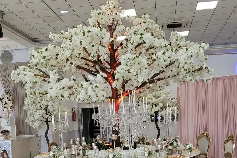 Saint Germain Réception Firat