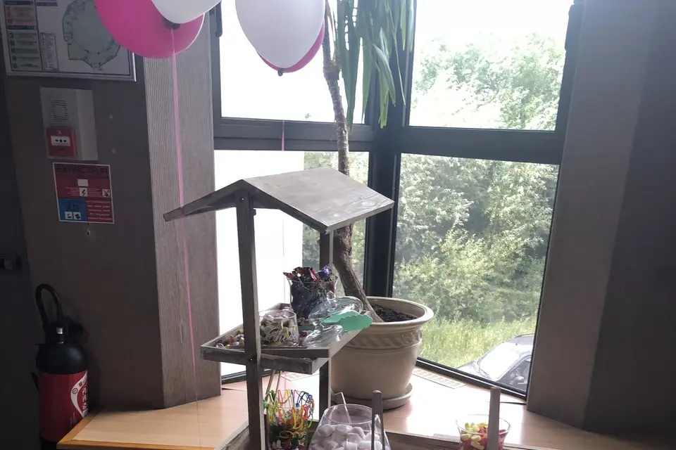 Animation 54 — photo 8