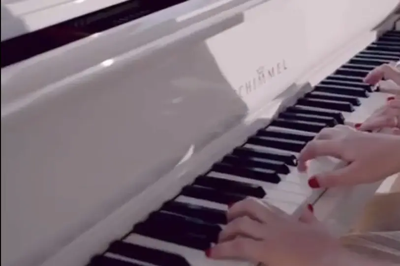 Duo Bringuier — photo 8