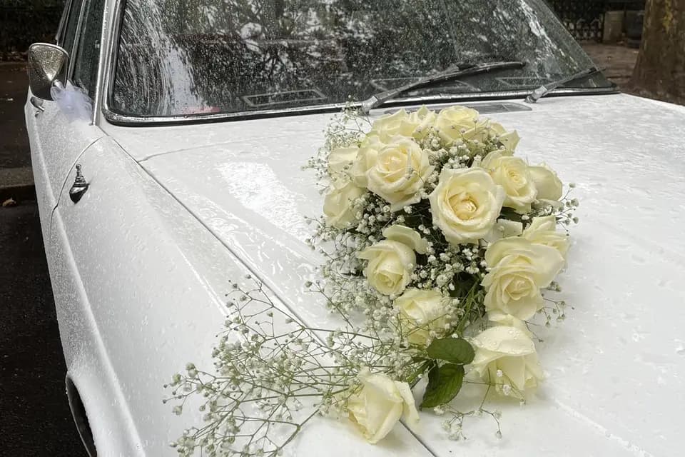 Loire Vallée Castel Location — photo 1