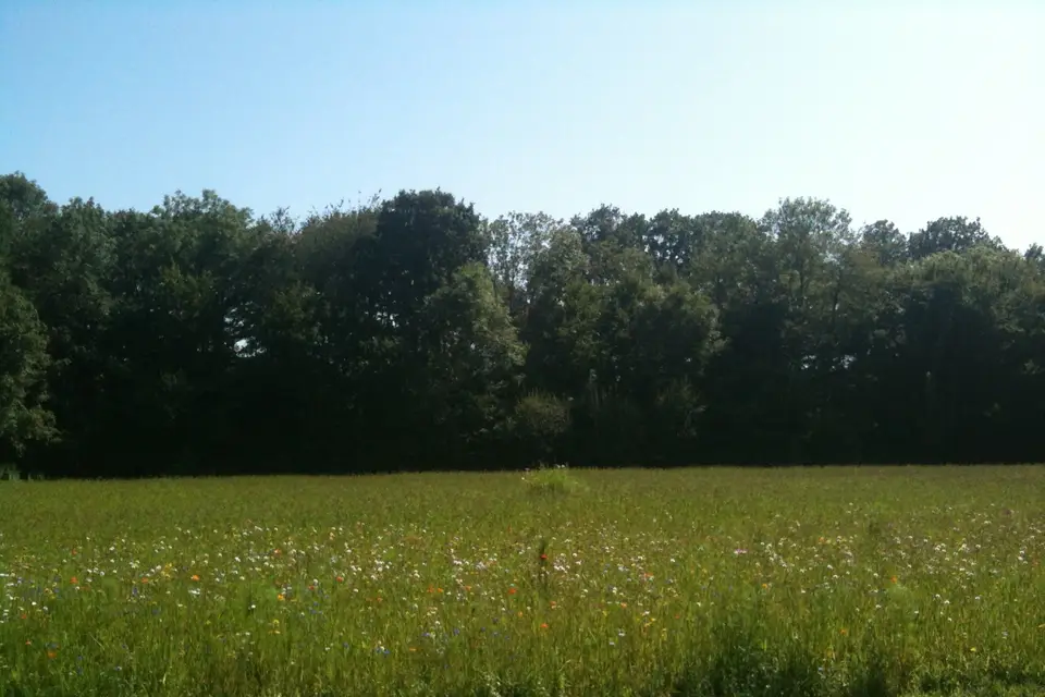 La Seigneurie d'Alleray — photo 7