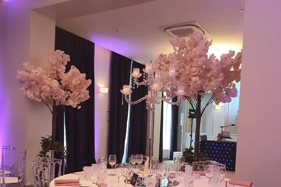 Sarah K. — photo 8