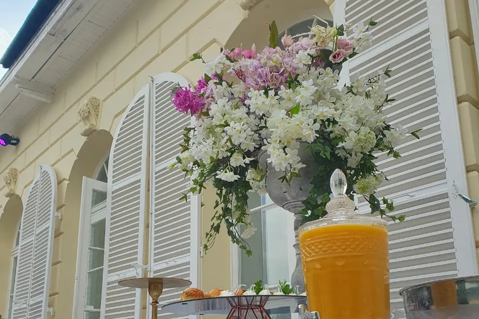 Sarah K. — photo 6