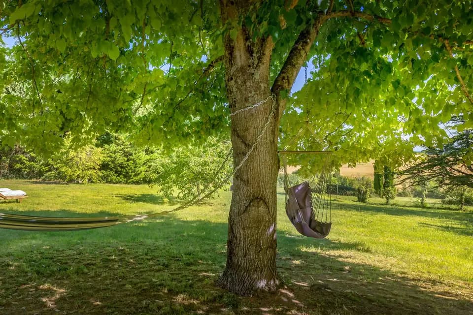 Les Vents Bleus — photo 7