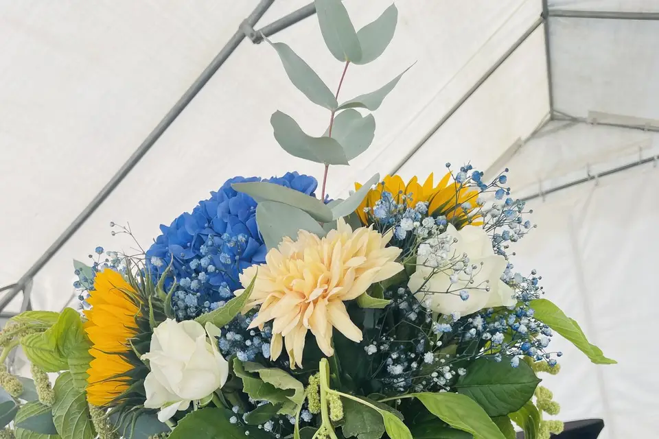 L’atelier d’Alexandra — photo 4