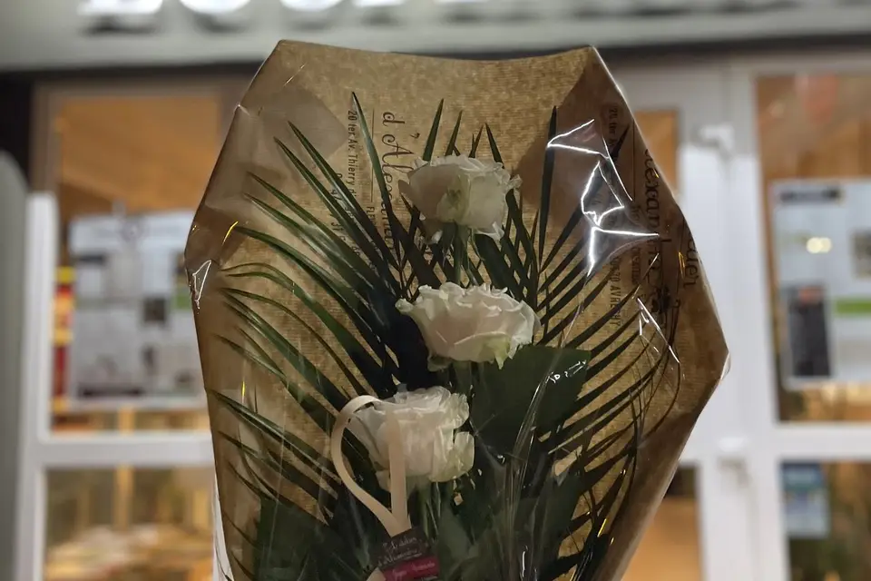 L’atelier d’Alexandra — photo 1