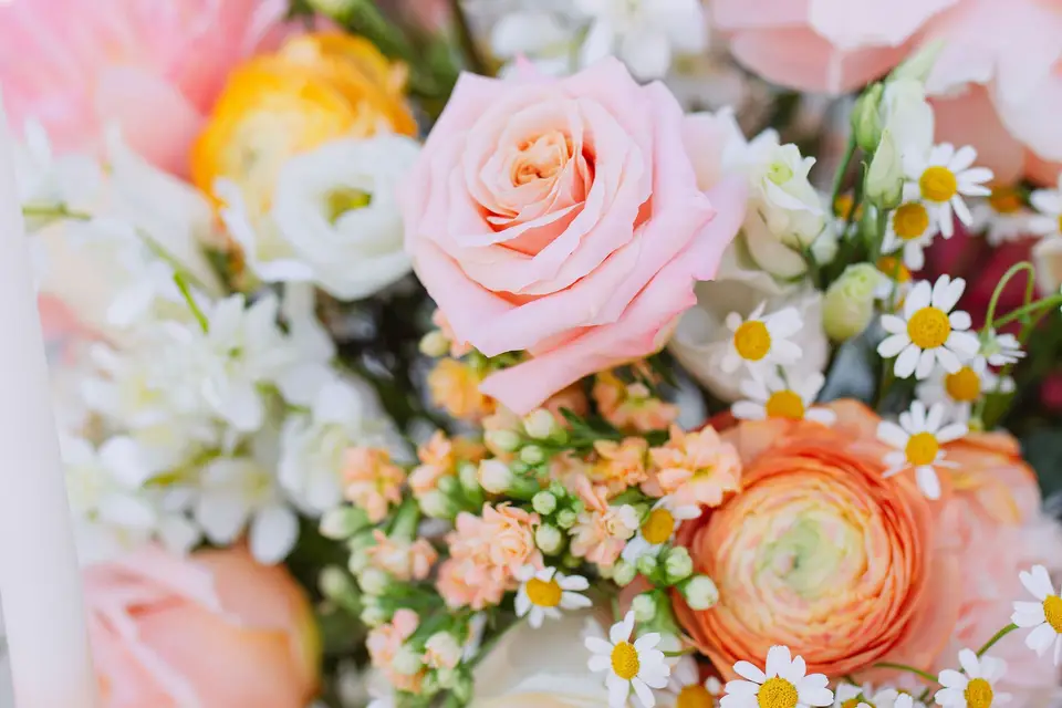 Palais d'Eden — photo 8