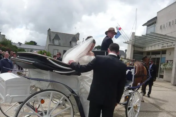 Balade en Calèche — photo 2