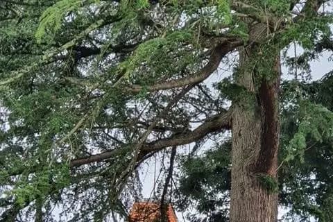 Château Gueydon — photo 1