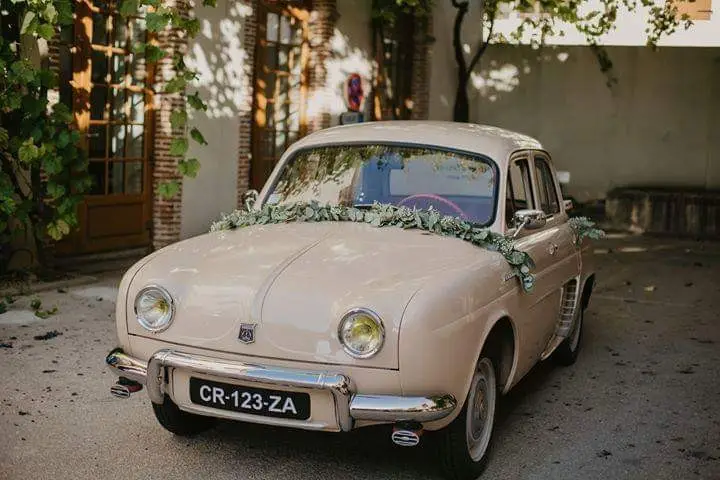 Fleurs d'Ange — photo 6