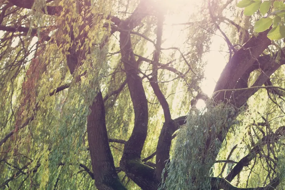 Virginie M. Photos — photo 2