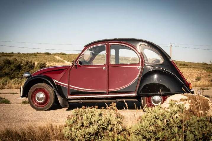 Dandy's Cars — photo 3