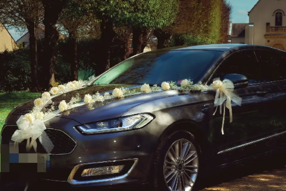 TVR Event — photo 2