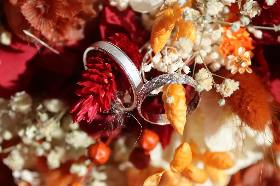 Un autre regard sur vos photos — photo 3