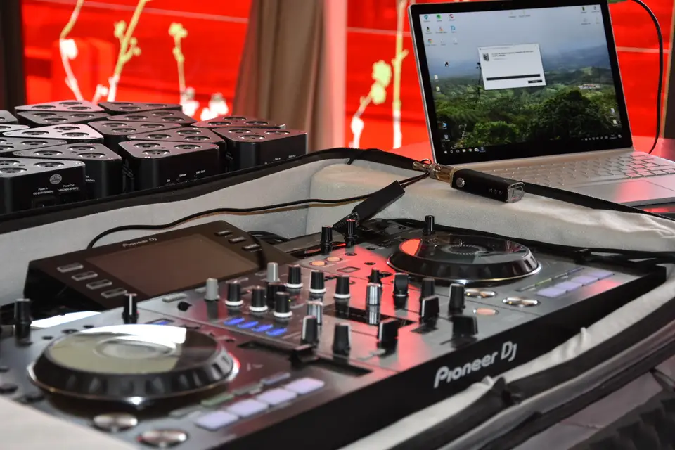 Mangabey — photo 4