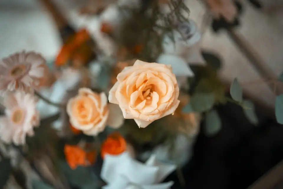 Wel Bienvenu — photo 3