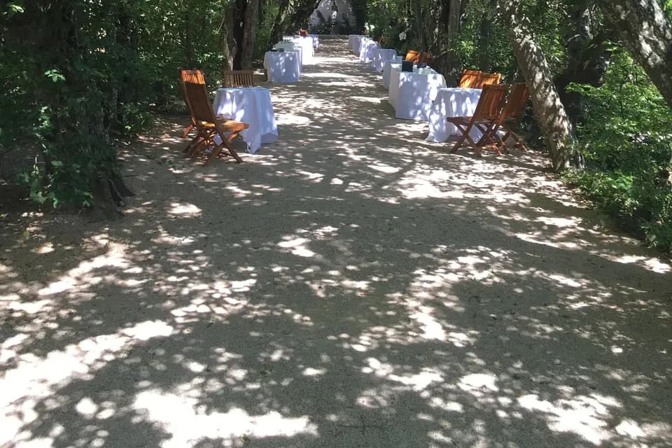 Château de Pizay — photo 3